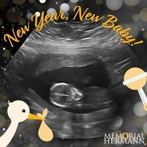 Meet your Posher, Elisa